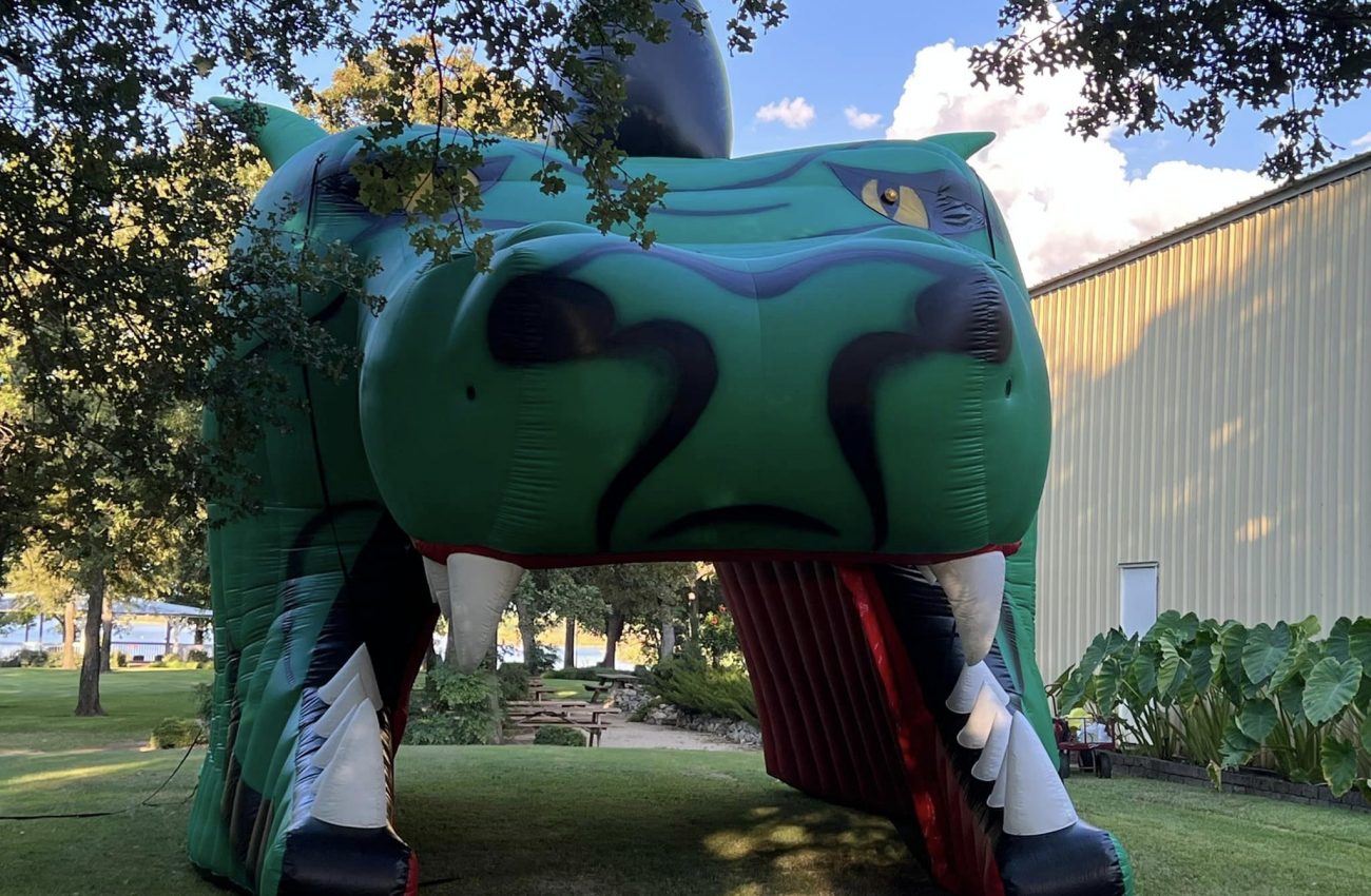 300583603_152517734073994_6609005940427506471_n